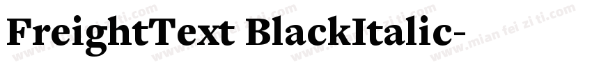 FreightText BlackItalic字体转换